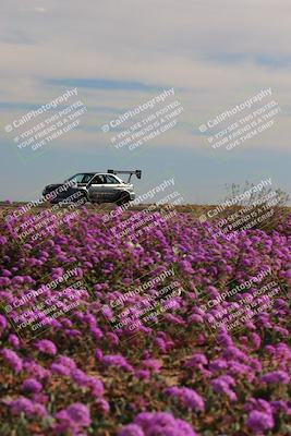 media/Jan-08-2023-SCCA SD (Sun) [[8f6a5b9391]]/Intermediate Group/Session 2 (Short Straight)/